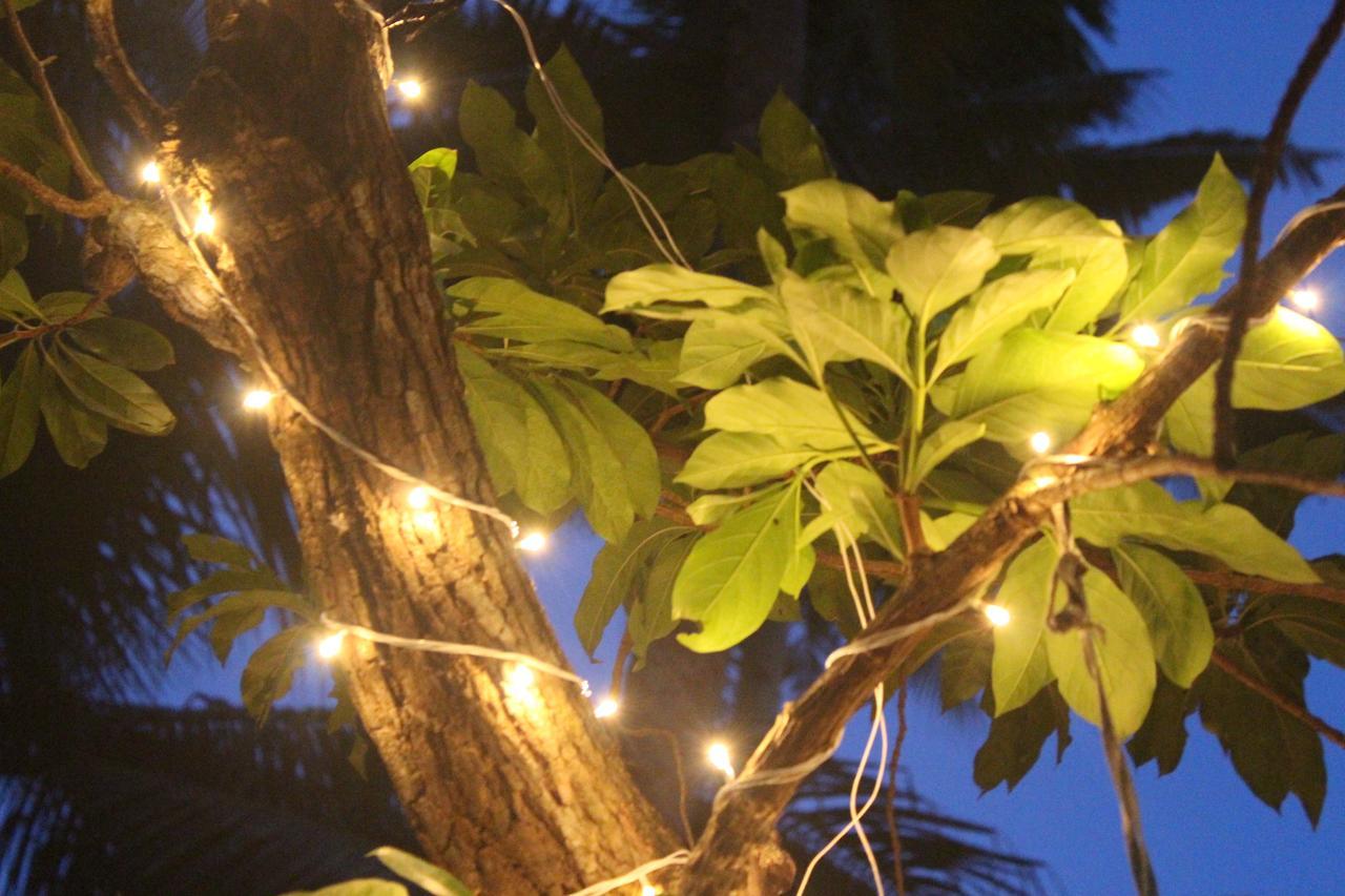 Munroe Paradise Apartment Munroe Island Ngoại thất bức ảnh